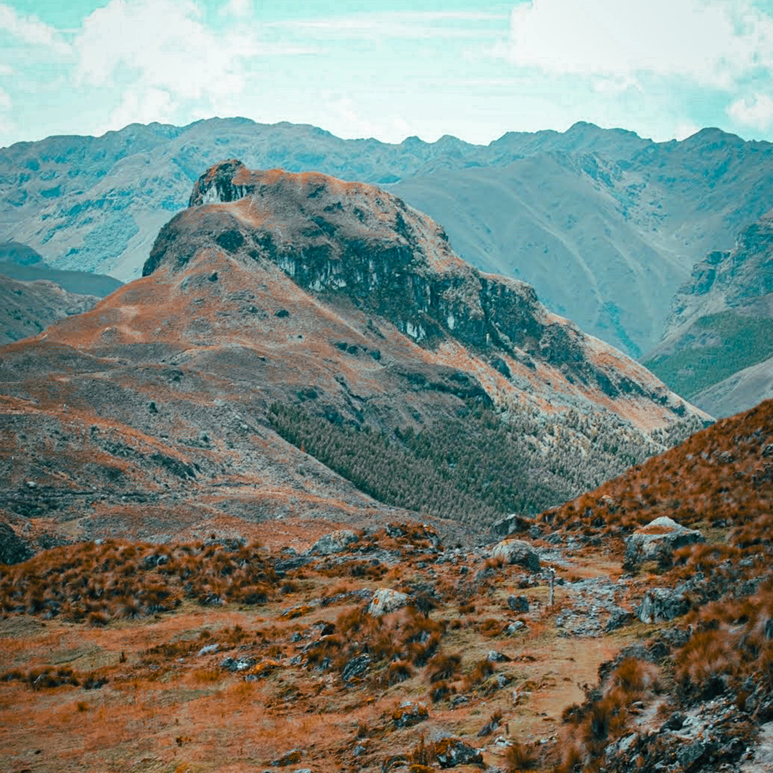 Character Design – Insect-like character with wings