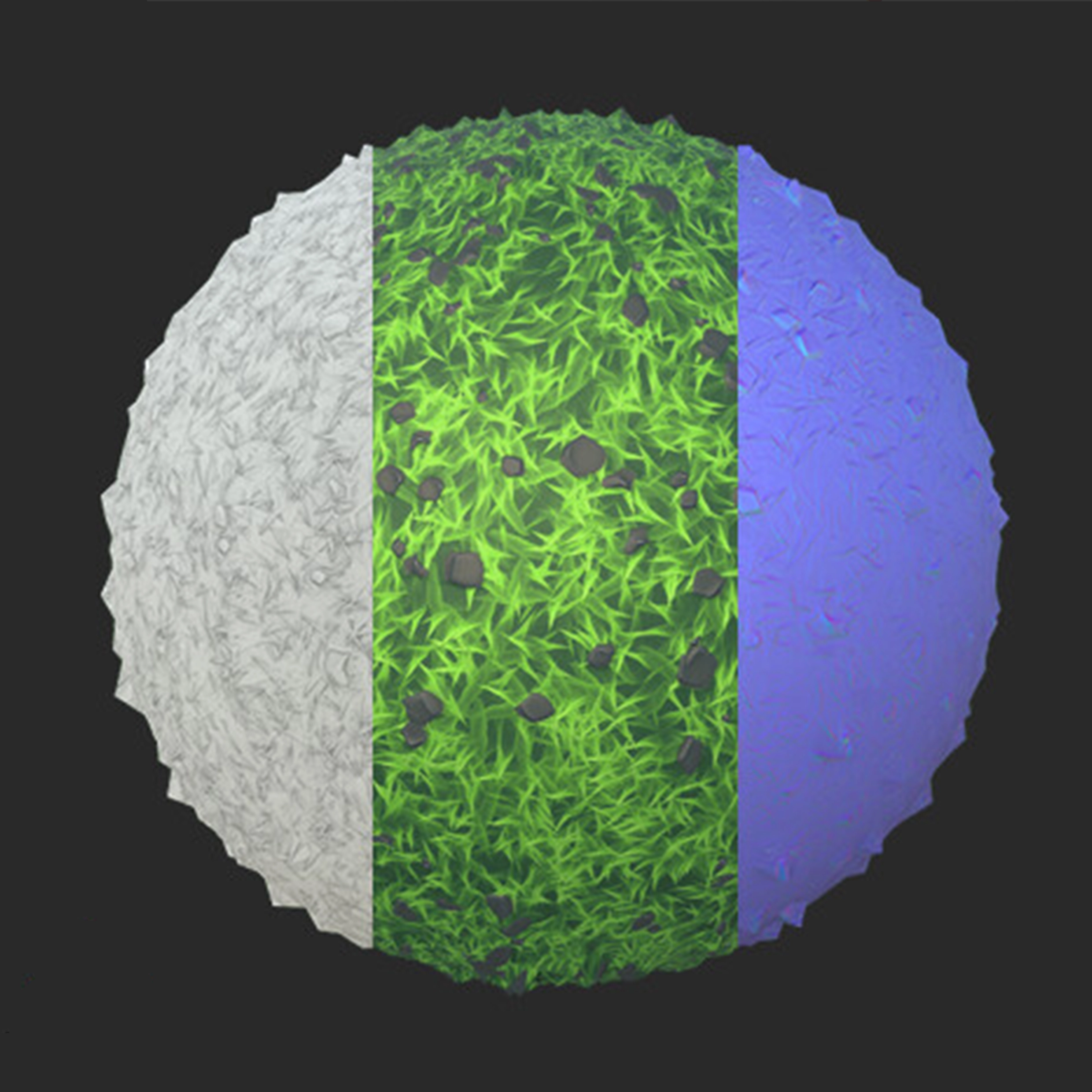 Character Design – Insect-like character with wings